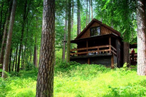 Imagen de la habitación del Ośrodek Wypoczynek Wodnik. Foto 15