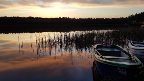 Imagen general del Ośrodek Wypoczynkowy Bledzewo. Foto 6