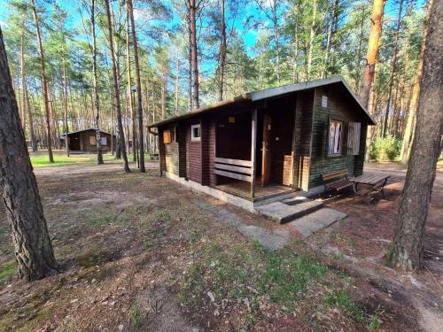 Imagen de la habitación del Ośrodek Wypoczynkowy Bledzewo. Foto 20