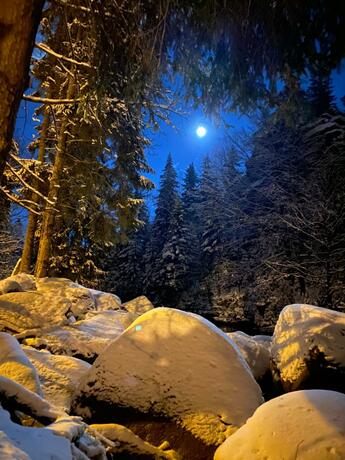 Imagen general del Ośrodek Wypoczynkowy Sudety. Foto 40