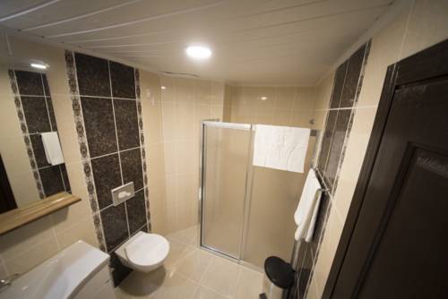 Imagen de la habitación del Osmaniye Hanedan Otel. Foto 4