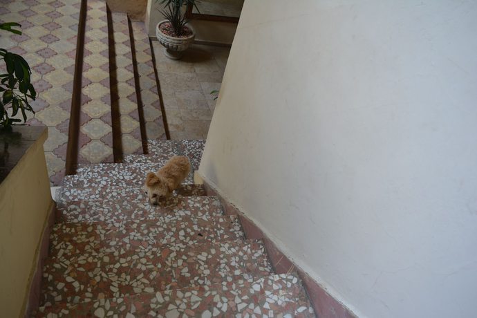 Imagen de los interiores del Osmanli Marco Pasha Hotel. Foto 19