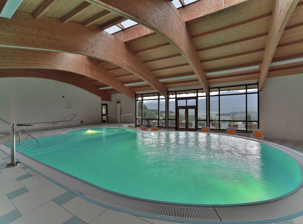 Imagen de la piscina del Osserhotel. Foto 20