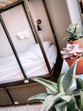 Imagen de la habitación del Ostello Bello Napoli. Foto 17