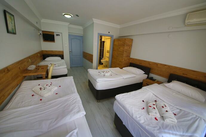 Imagen general del Otel Altay. Foto 3
