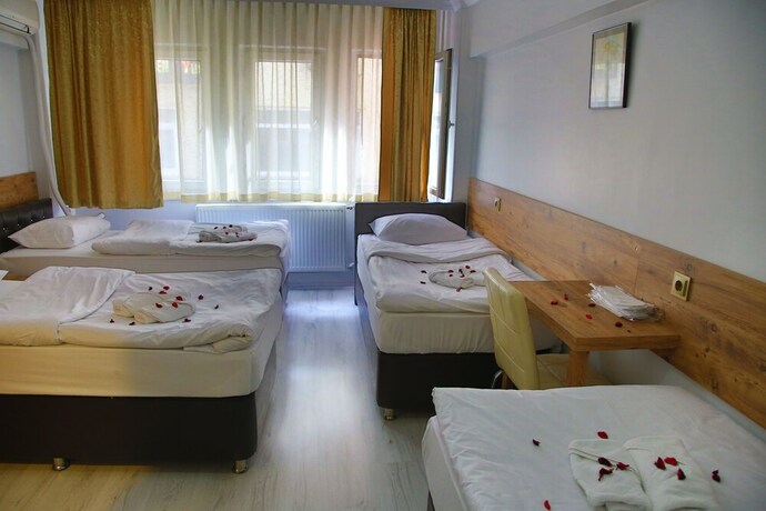 Imagen de la habitación del Otel Altay. Foto 15