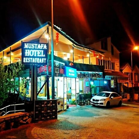Imagen general del Otel Mustafa. Foto 8