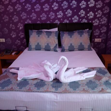 Imagen general del Otel Safran Palas. Foto 4