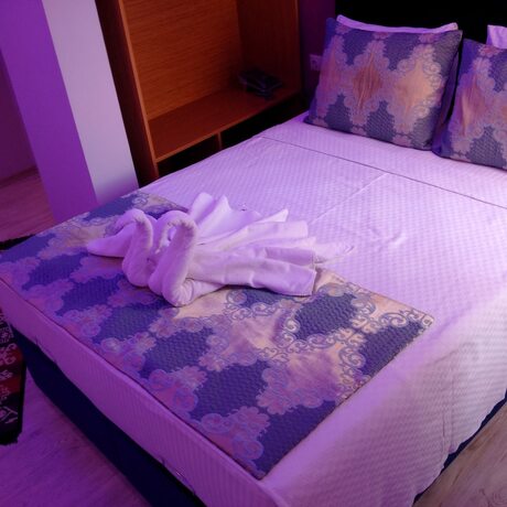 Imagen general del Otel Safran Palas. Foto 13