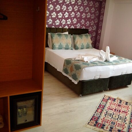 Imagen general del Otel Safran Palas. Foto 15