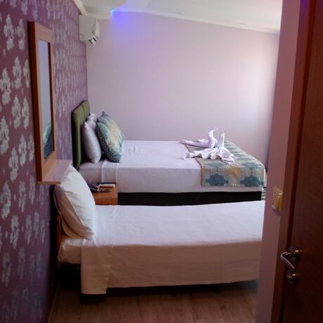 Imagen general del Otel Safran Palas. Foto 18