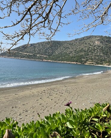 Imagen general del &Ouml;zdemir Butik Otel ve Restaurant. Foto 4