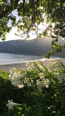 Imagen general del &Ouml;zdemir Butik Otel ve Restaurant. Foto 12