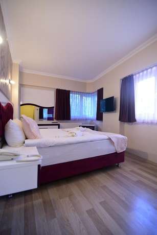 Imagen de la habitación del &Ouml;zdemir Palas Hotel. Foto 9