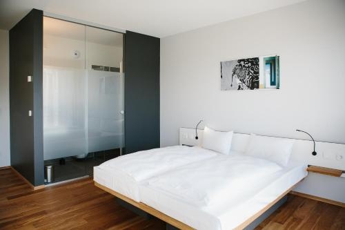 Imagen general del Ox Hotel Altes Spital. Foto 1
