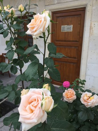 Imagen de la habitación del Ozbek Stone House. Foto 3