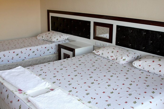 Imagen de la habitación del Ozdemir Thermal Hotel. Foto 4