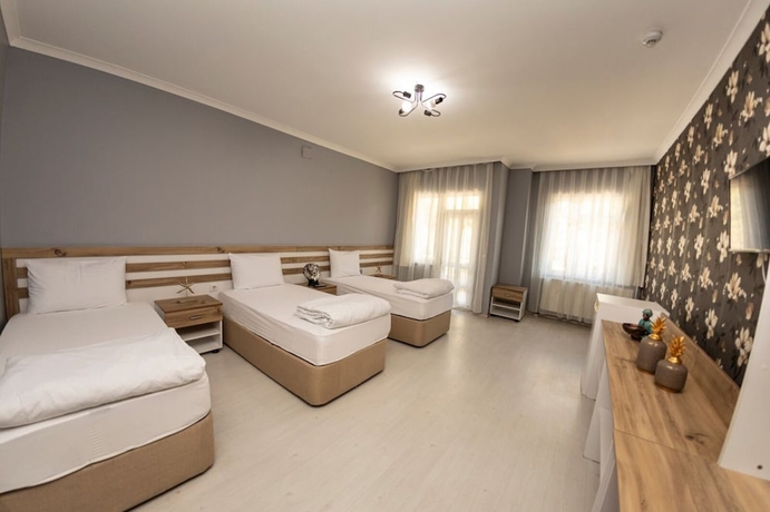 Imagen de la habitación del Ozel Amasya Konukevi. Foto 1