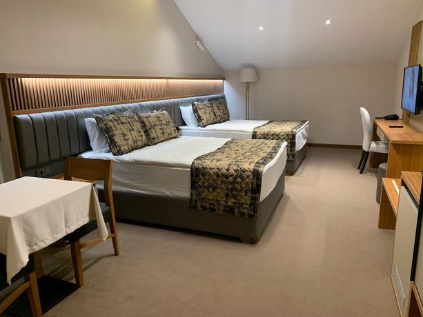 Imagen de la habitación del Ozkaya Otel. Foto 13