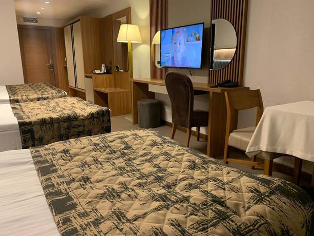 Imagen de la habitación del Ozkaya Otel. Foto 14