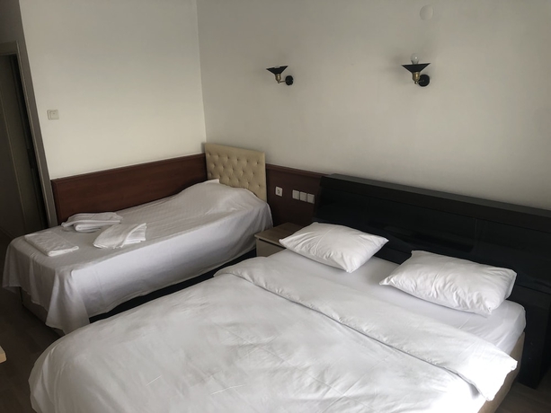 Imagen de la habitación del Ozsoy Hotel. Foto 2
