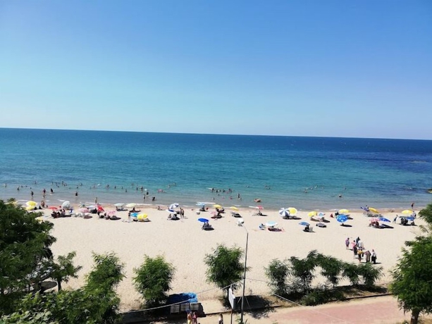 Imagen general del PINAR OTEL. Foto 2