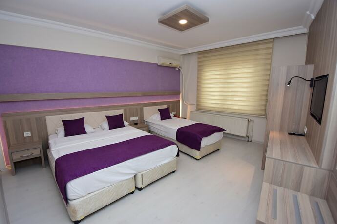 Imagen general del PLEVNE OTEL. Foto 5