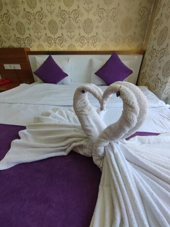 Imagen general del PLEVNE OTEL. Foto 9