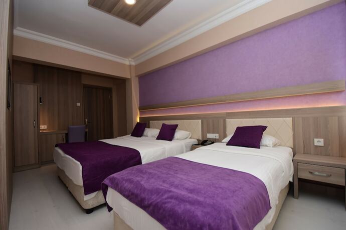 Imagen general del PLEVNE OTEL. Foto 15