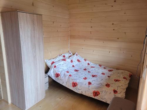 Imagen general del POD FALAMI - domki letniskowe. Foto 15