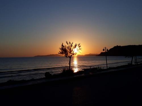 Imagen general del PORTO-FINO. Foto 5