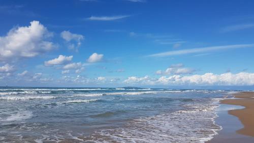 Imagen general del PORTO-FINO. Foto 9