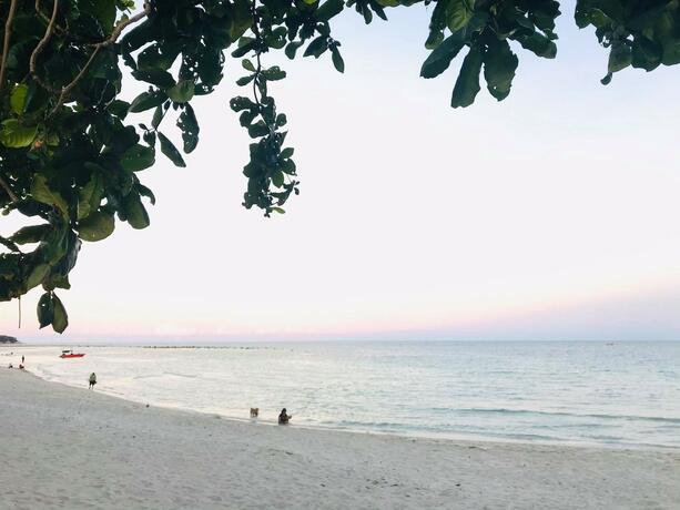 Imagen general del PTK BEACH. Foto 16