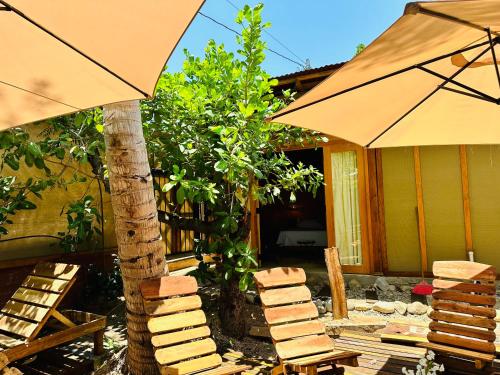 Imagen general del PUNTA SURF ECOCABA&Ntilde;AS & HOSTEL Adults Only. Foto 7