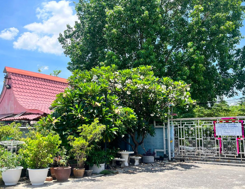 Imagen general del Pa Chalermchai Guesthouse. Foto 17