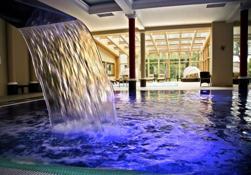 Imagen general del Pałac Żelech&oacute;w Spa & Wellness. Foto 4