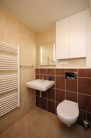 Imagen de la habitación del P&aacute;lavsk&eacute; Apartm&aacute;ny. Foto 7