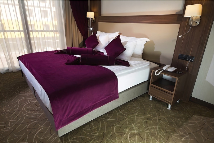 Imagen de la habitación del Paşapark Selçuklu Hotel. Foto 6