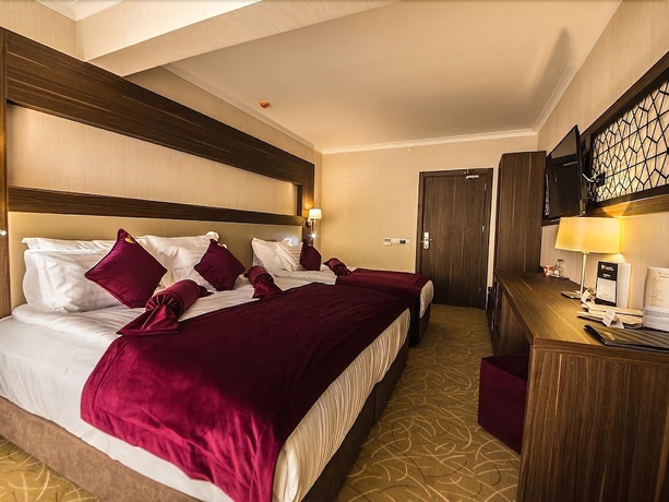 Imagen de la habitación del Paşapark Selçuklu Hotel. Foto 9