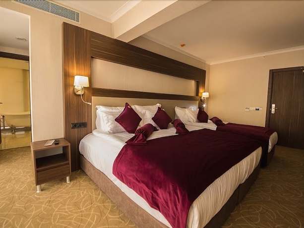 Imagen de la habitación del Paşapark Selçuklu Hotel. Foto 13