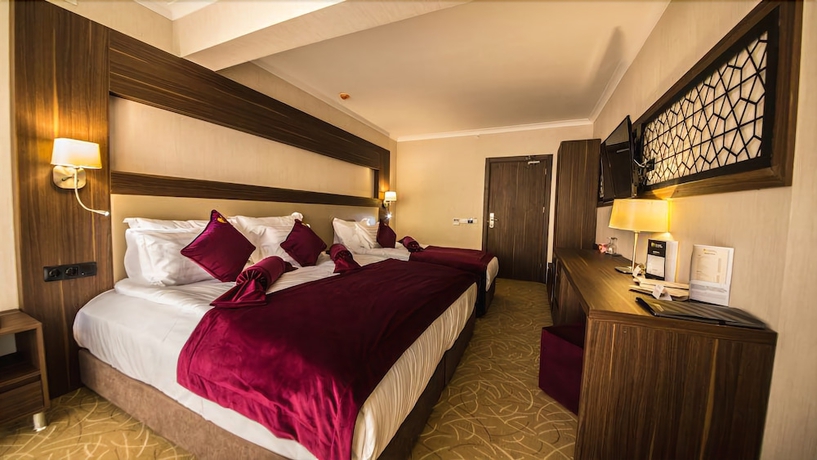 Imagen de la habitación del Paşapark Selçuklu Hotel. Foto 16