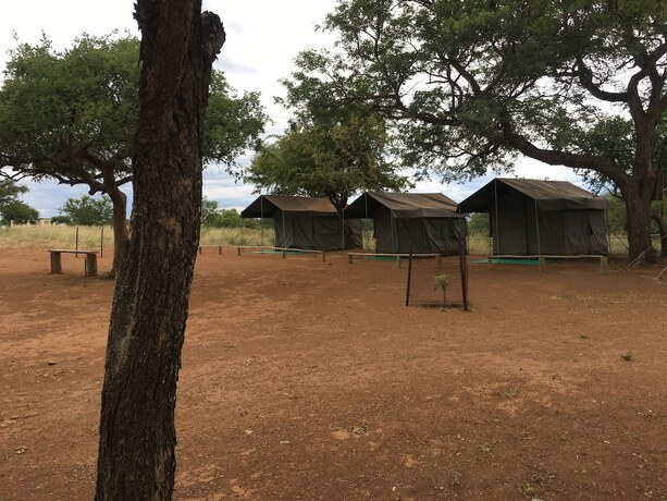 Imagen general del Paje River Camp. Foto 4