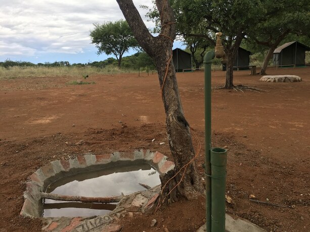 Imagen general del Paje River Camp. Foto 5