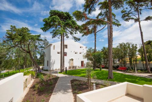 Imagen general del Palácio dos Marqueses. Foto 9