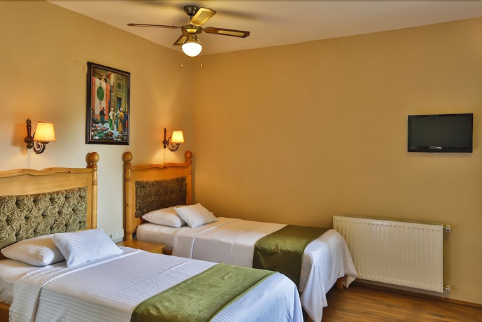 Imagen de la habitación del Palace Hotel Olive Odore. Foto 5