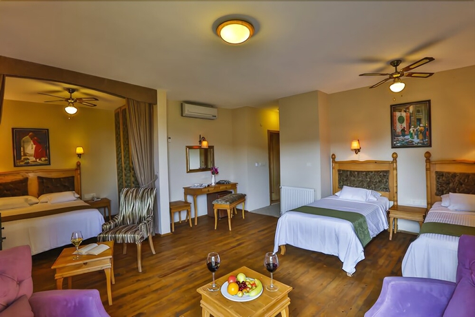 Imagen de la habitación del Palace Hotel Olive Odore. Foto 9