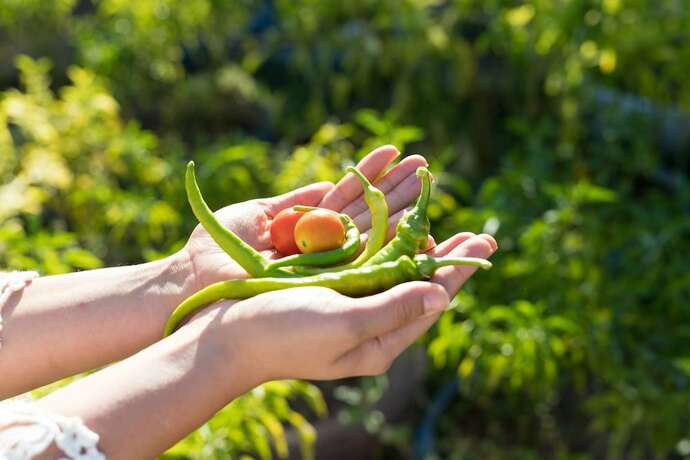 Imagen general del Palamutbükü Deniz Apart Otel. Foto 7