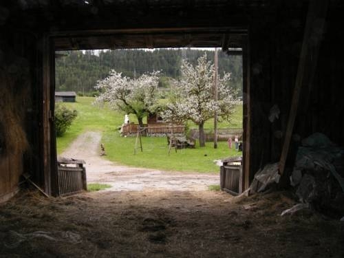 Imagen general del Palfengut. Foto 5