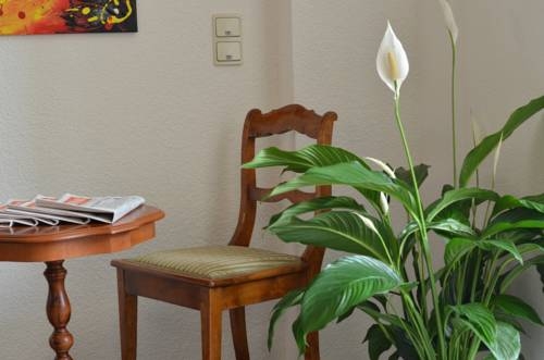 Imagen general del Pallas Hotel. Foto 3