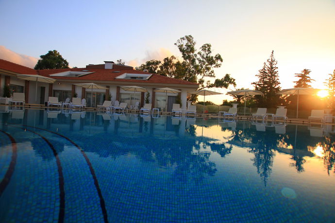 Imagen de la piscina del Palm Bay Beach Hotel. Foto 14